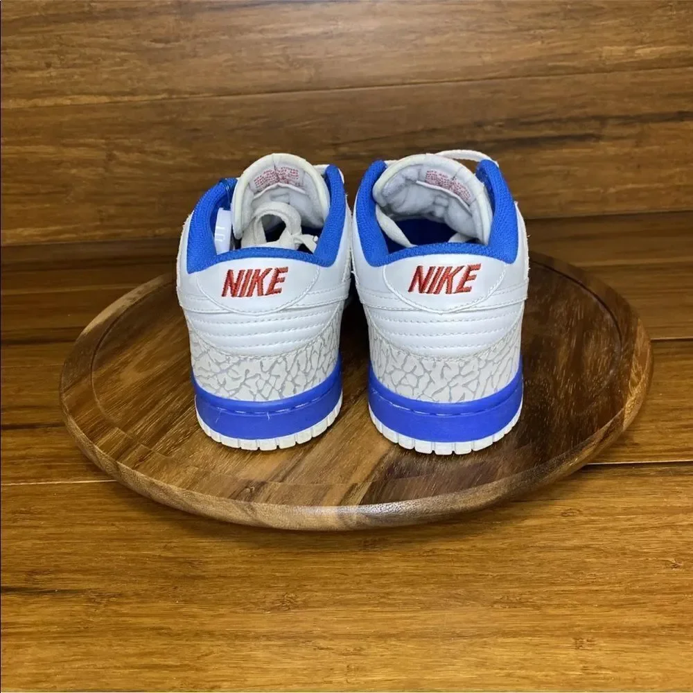 Jordan 1  Nike dunks hybrid vintage from 2006